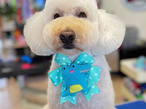 "Crocco" Bows (For Larger Dogs)