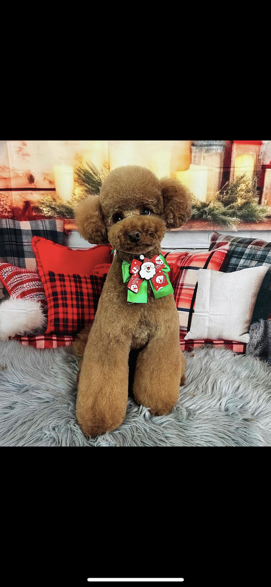 50 Christmas Bow Bundles