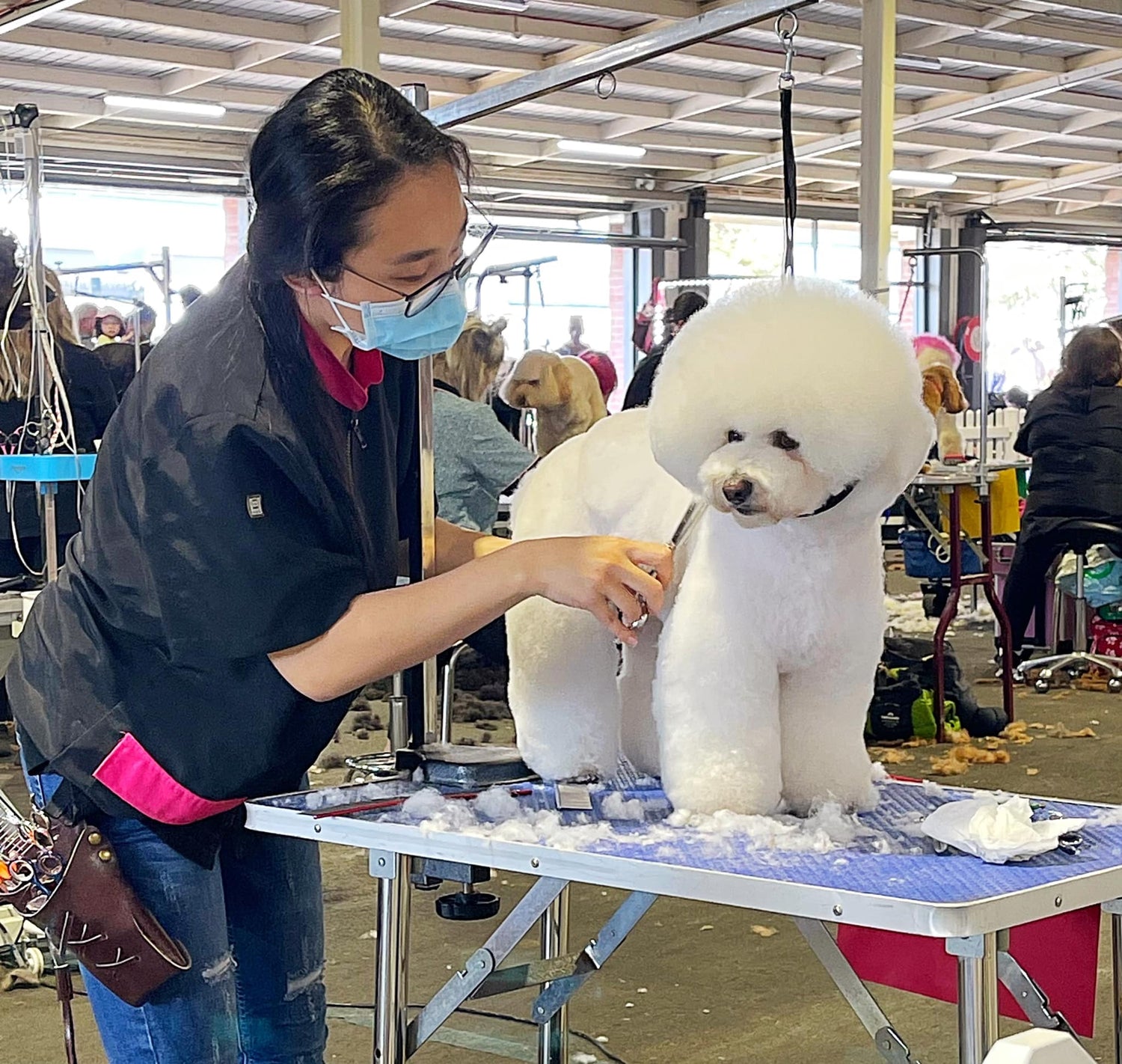 Karnak Dog Grooming